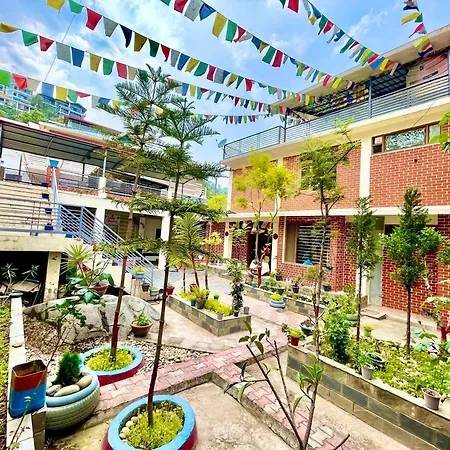 The Auriga 3Bhk Fully Entair Villa With Bonfire In Kasauli I Pvt Stay I Open Air Terrace I Kitchen Livingroom I Lawn Bonfire I Gaming Zone Exterior photo